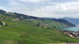 The vineyards continue as far as the eye can see from our superb viewpoint at the Restaurant du Monde, Grandvaux